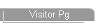 Visitor Pg