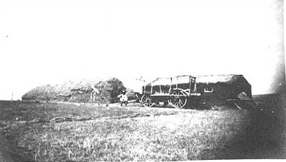 Walter's Claim, George on haystack